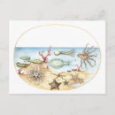 Recherche de illustration de poulpe cartes postales Mer