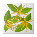 Recherche de parfum carreaux Floral