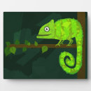 Recherche de jungle plaques Animaux