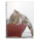 Recherche de cuvette photographie Mignon