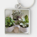Recherche de pot de fleurs porteclés Succulent