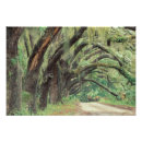 Recherche de chêne vivant posters Géorgie