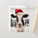 Recherche de veau cartes postales Élevage