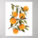 Zoek naar keuken decor posters Citrusvruchten