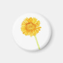 Zoek naar gerbera magneten Floreel