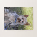 Recherche de yorkie puzzles Chien