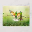 Recherche de oiseau coloré cartes postales Mignon