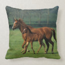 Recherche de pur sang coussins Poulain de jument