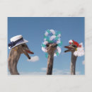 Recherche de amis fous cartes postales Pour tous