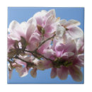 Recherche de fleur de magnolia carreaux Fleurir