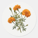 Zoek naar goudsbloem stickers Geel