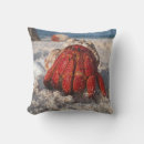 Recherche de crustacés coussins Plage