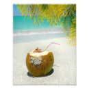 Recherche de caraïbe posters Noix de coco