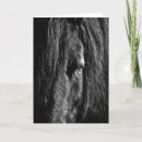 Recherche de portrait de cheval vœux cartes Noir
