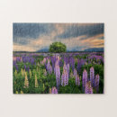 Zoek naar nieuw zeeland puzzels Lupine