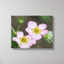Recherche de bourgeons impressions sur toile Fleur