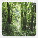 Zoek naar tropisch regenwoud stickers Landschap