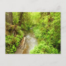 Recherche de perdu cartes postales Nature