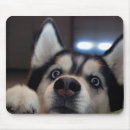 Recherche de enroué tapis souris Mignon