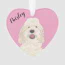 Recherche de caniche rose ornements Noël