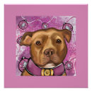 Recherche de bully posters Pitbull