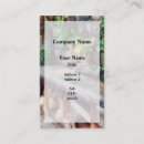 Recherche de serre cartes visite Fleurs