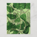 Recherche de poivre cartes postales Botanique