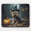 Recherche de yorkshire tapis souris Chien