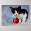 Recherche de chat noir posters Mignonette