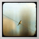 Zoek naar dragers posters Kunst