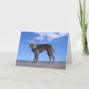 Recherche de terrier bedlington vœux cartes Terriers
