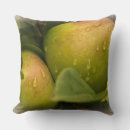 Recherche de pomme coussins Fruit