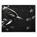 Recherche de récif photographie Tortue de mer
