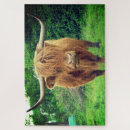 Recherche de cow puzzles Nature
