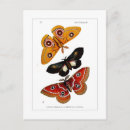 Recherche de zoologique cartes postales Animal