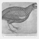 Recherche de pisanello autocollants 15ème