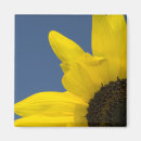 Recherche de coin magnets Jardin