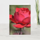 Recherche de rouge rose photographie Amour