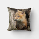 Recherche de petit renard coussins Animaux mignons