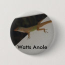 Recherche de caméléons badges Faune