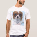 Recherche de suis charlie de je tshirts Chiot