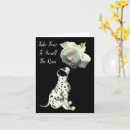 Recherche de sentez les roses Blanc