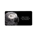 Zoek naar papegaai etiketten Dieren