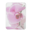 Recherche de élégantes magnets Nature