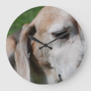 Recherche de seniors horloges Chien