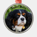 Recherche de tri ornements Animal