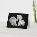 Recherche de orchidée noire vœux cartes Noir et blanc