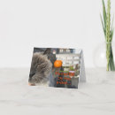 Recherche de chat siamois vœux cartes Citrouille