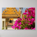 Recherche de bouganvillée posters Tropical