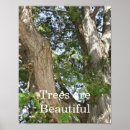 Recherche de cedar posters Nature